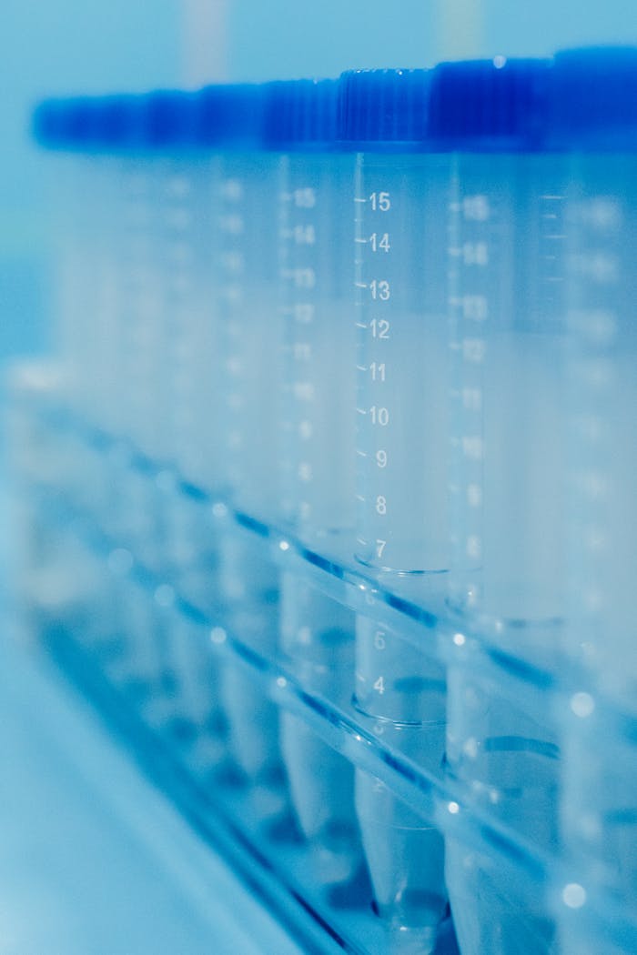 ours-journey Vertical shot of clear plastic test tubes in a rack with blue caps in a laboratory setting.